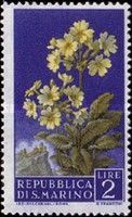 Oxlip (Primula eliator)