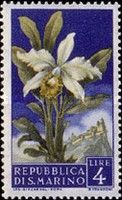 Cattleya trianae
