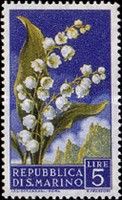 Lily of the Valley