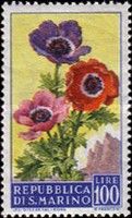 Anemones