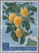 Plums (Prunus domestica)