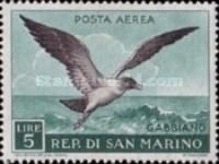 Black-headed Gull (Larus ridibundus)