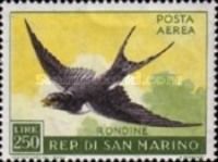 Barn Swallow (Hirundo rustica)
