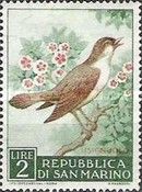 Common Nightingale (Luscinia megarhynchos)