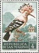 Eurasian Hoopoe (Upupa epops)