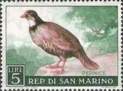 Red-legged Partridge (Alectoris rufa)