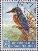 Common Kingfisher (Alcedo atthis)