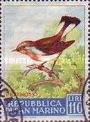 Red-breasted Flycatcher (Ficedula parva)