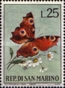 European peacock (Aglais io)