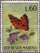 Large Tortoiseshell (Nymphalis polychloros) 