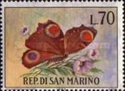 European peacock (Aglais io)