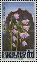 Campanula