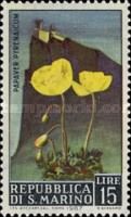 Pyrenean poppy