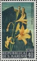 Hemerocallis (Hemerocallis flava)