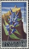 Gentian (Gentiana asclepiadea)