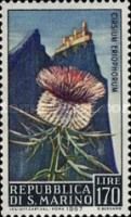 Thistle (Cirsium eriophorum)