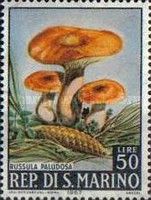 Russula paludosa
