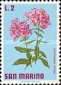 Phlox (Phlox paniculata)