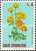 Globe-Flower (Trollius europaeus)