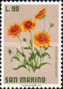 Blanketflower (Gaillardia aristata)