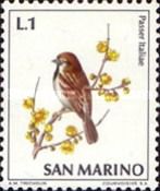 Italian sparrow (Passer italiae)