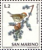 Common Firecrest (Regulus ignicapillus)