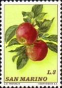 Apples