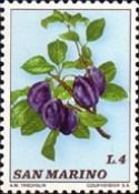 Plums