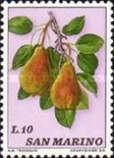 Pears
