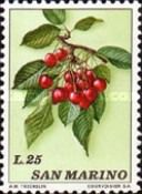 Cherries