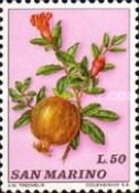 Pomegranate