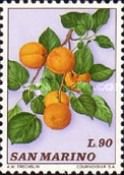 Apricots