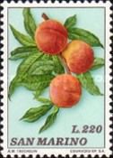 Peaches