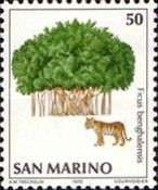 Tiger (Panthera tigris), Banyan Tree (Ficus benghalensis)