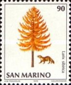 Marten (Martes sp.), Russian Larch (Larix sibirica)