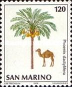 Dromedary (Camelus dromedarius), Date Palm (Phoenix dactylif