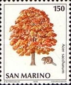Beaver (Castor sp.), Sugar Maple (Acer saccharum)