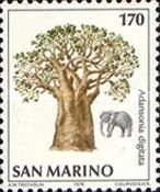 African Elephant (Loxodonta africana), Baobab (Adansonia dig