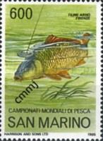 World Angling championships- Common Carp (Cyprinus carpio)