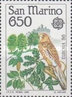Common Kestrel (Falco tinnunculus), Plants