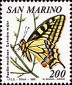 Swallowtail (Papilio machaon), Ephedra Herb (Ephedra major)