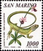 European Green Lizard (Lacerta viridis),Bertoloni's Bee Orch
