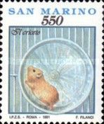 Hamster on wheel