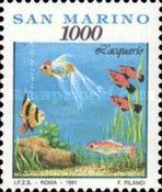 Tropical fish