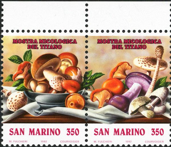 Edible mushrooms