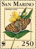 Glanville Fritillary (Melitaea cinxia)