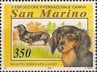 Dachshund (Canis lupus familiaris)