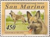 Tervuren Dog (Canis lupus familiaris)