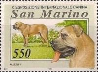 Mastiff (Canis lupus familiaris)