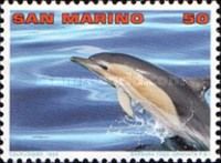 Common Dolphin (Delphinus delphis)
